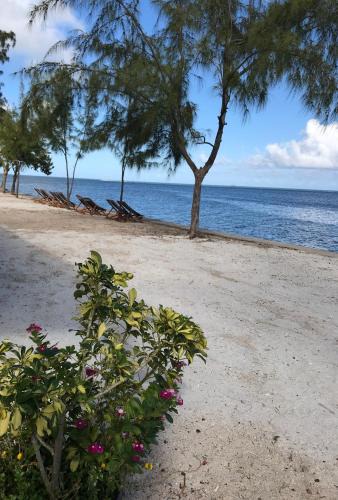 Port Mathurin Hotel | Bon Vivant Front de Mer - Ile Rodrigues