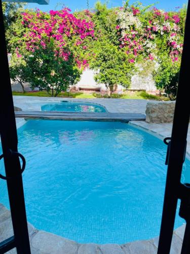 Hammamet Sud House | Casa Dea - Bungalow DS