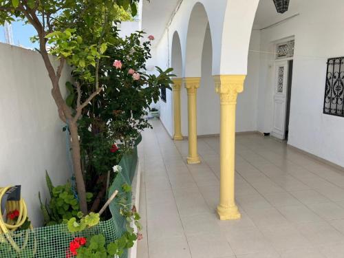 Hammamet House | Coquette maison familial à Hammamet