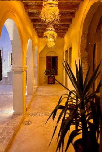 Erriadh House | Dar Hallouma - WostelDjerba community