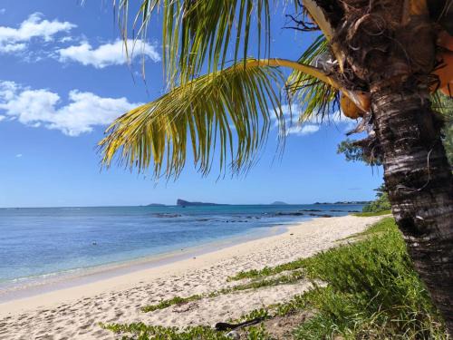 Pointe aux Canonniers Villa | Lakaz Badamier - Villa pieds dans l'eau avec piscine