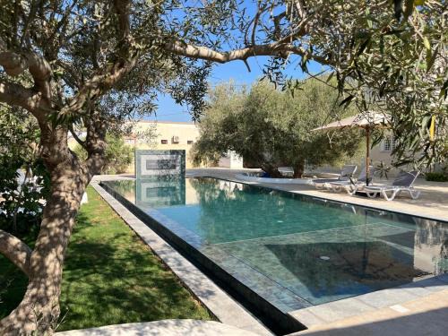 Taguermess Apartment | Résidence Jamila Location Appartements confort piscine proche zone touristique