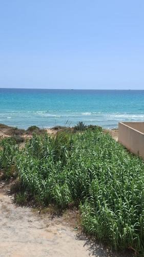 Ksour Essaf Apartment | Résidence R