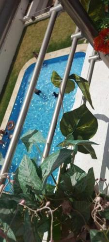 Cite El Wafa Apartment | résidence