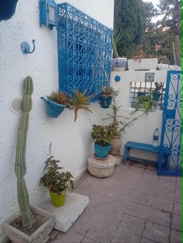 Sidi Bou Said Apartment | Summer House