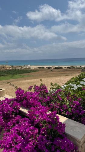 El Haouaria House | Vue mer & montagne, plage à pied & tranquillité assurées