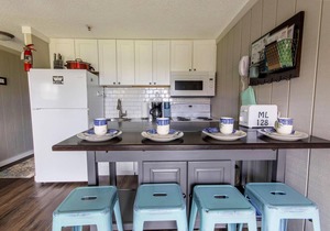 ML 128: Ballhooter views await you. Charming 1BR next to bike trails! in Snowshoe