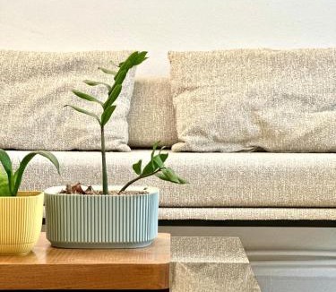 Sidi Bou Said House | 96 Sqm last floor shared apartment
