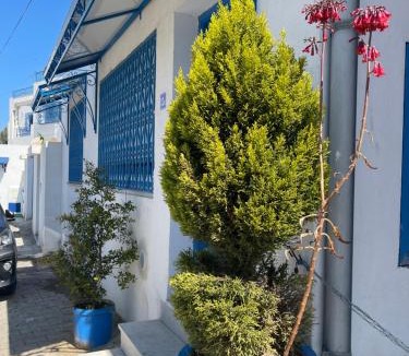 Sidi Bou Said Apartment | AT THE HEART OF SIDI BOU SAID A BLUE and WHITE PERLE