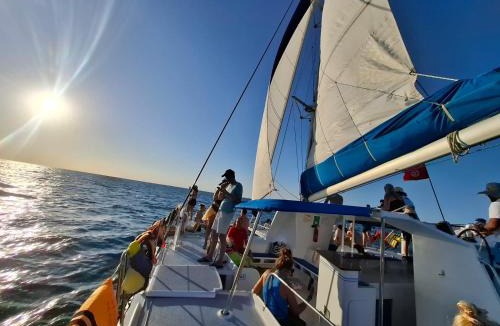 Houmt Souk Boat Rental | Balade de 3 heures en Catamaran de Luxe djerba