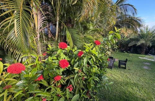 La Gaulette Apartment | Blue Heaven Villa with Garden, Salt pool & Jacuzzi Welcomes All