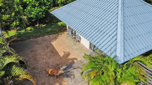 Black River Apartment | Calm guesthouse near Riviere Noire