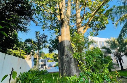Cap Malheureux House | Contemporary villa a 5-minute walk from Bain Boeuf Beach
