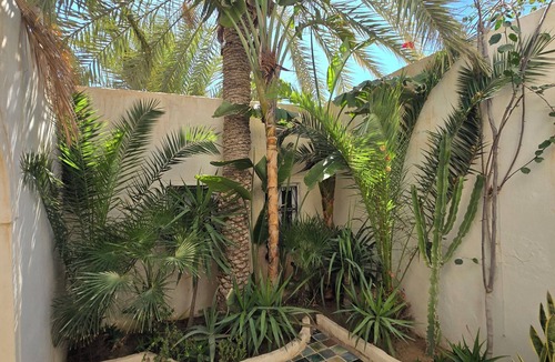 Erriadh House | Dar Daoud, An Authentic Djerba Getaway