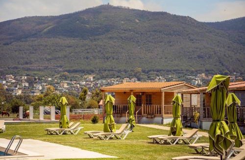 Tabarka Ski Chalet | Dar El karma