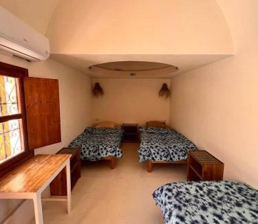 Erriadh House | Dar Hallouma - WostelDjerba community
