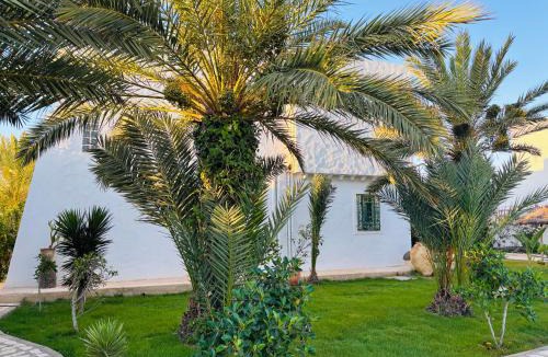 Mezraia House | Diar djerba Haroun