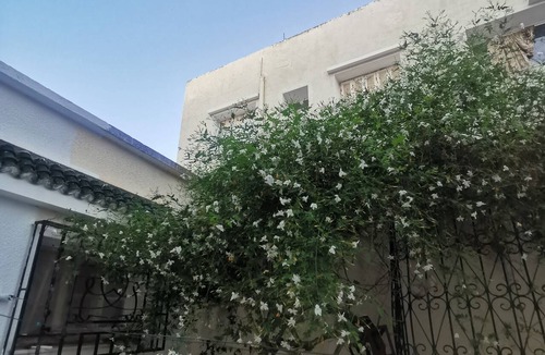 Bizerte House | Furnished House for Daily Rent