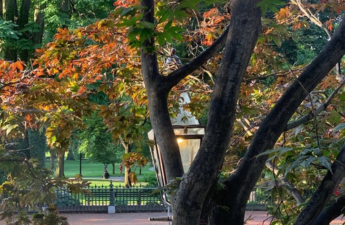 Beacon Hill Condo | Historic Townhouse Condo in the center of Boston, across from the Public Garden