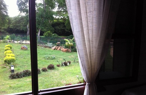 Albion House | Homerez - Charming House in Albion with Shared Pool