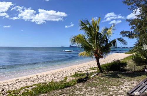 Pointe aux Canonniers Villa | Lakaz Badamier - Villa pieds dans l'eau avec piscine