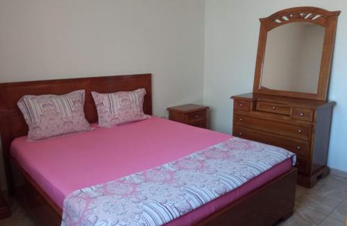 Centre Ville Apartment | Paradise Flower