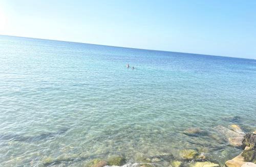 Salakta Apartment | Residence Mariem