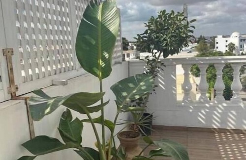 Sidi Dhrif Apartment | Superb penthouse with panoramic view