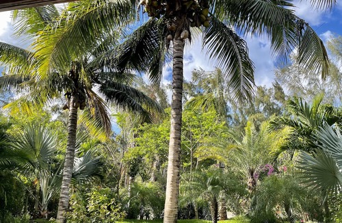 Mont Choisy Villa | Villa Mont Choisy Canonnier Proche Plage Piscine Privée