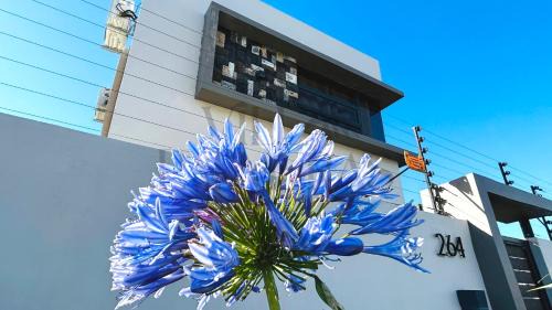 Vacoas-Phoenix House | Villa Palmeras 4-Bedroom AC Premium Central Oasis - Newly Refreshed