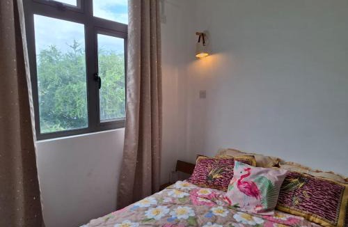 Wolmar Apartment | Wolmar 373