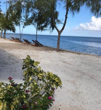 Bon Vivant Front de Mer - Ile Rodrigues