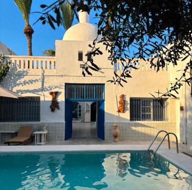 CoZi at Dar Faiza
