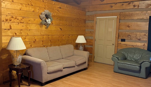 Cozy cabin in lovely Seneca Rocks WV with WiFi, smart TVs and jucuzzi tub in Seneca Rocks