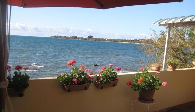 Le cactus guesthouse