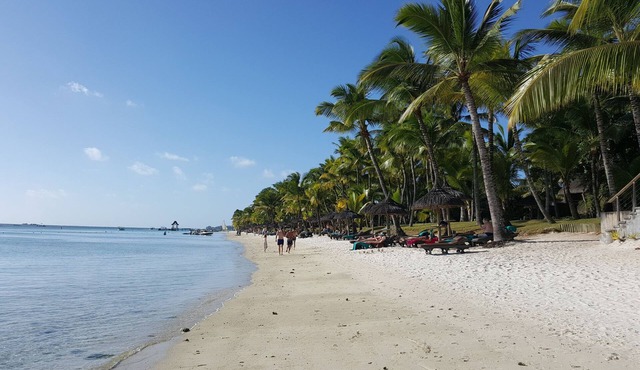 Location appartement mer 1à 2 pers 250m Trou aux biches et 500m Mon choisy plage