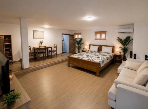 Mont choisy Studio