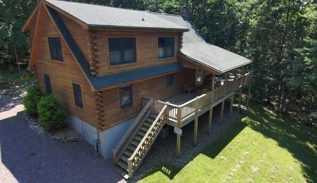 Mountain Maryland! Bear in the Woods in Grantsville