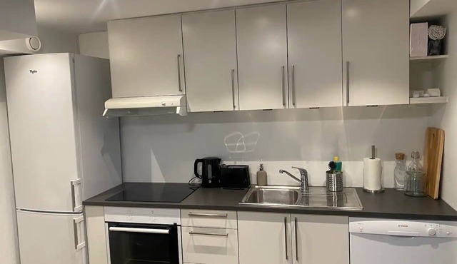 Newly renovated apartment with a great patio in Oslo
