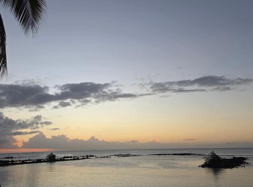 Ocean view