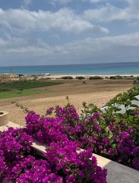 Vue mer & montagne, plage à pied & tranquillité assurées