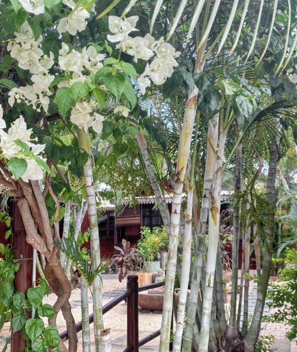 Albion House | Charming house in Albion + enclosed garden and shared pool