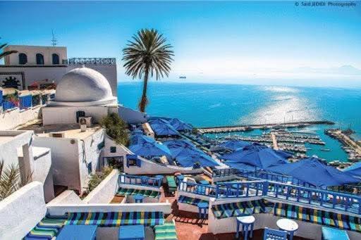 Sidi Bou Said Apartment | Mediterranean Breeze Studio