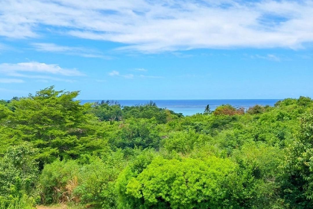Saint Felix House | Bel ombre's Panoramic view