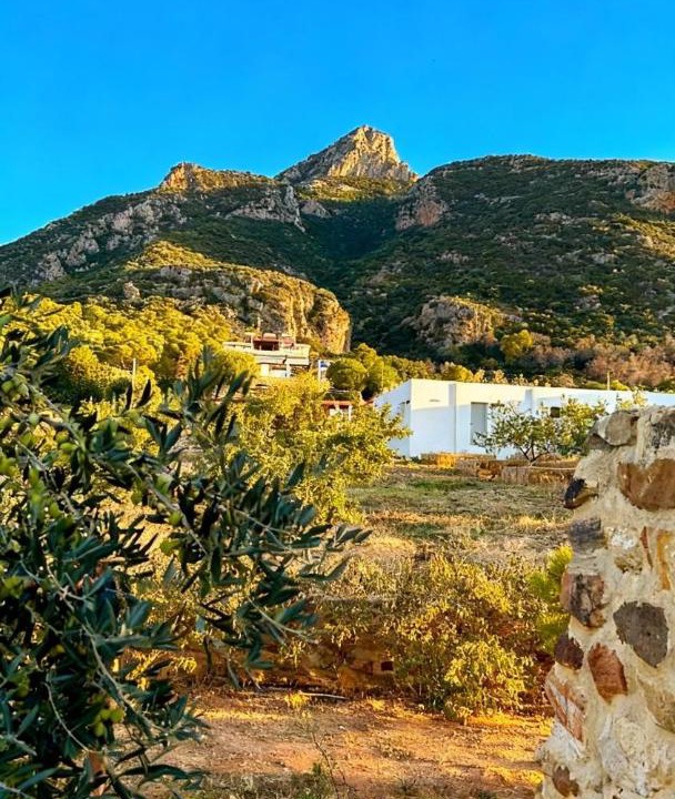 Zaghouan House | Dar Nesri