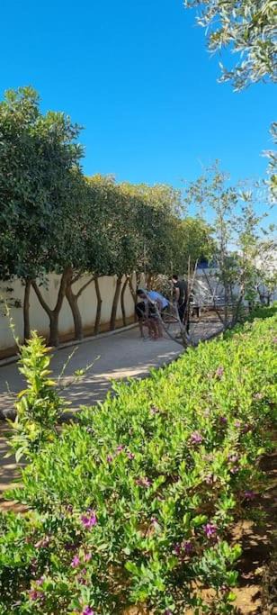 Aghir Bed & Breakfast | Chambre d'hôtes, Dar l'air du temps