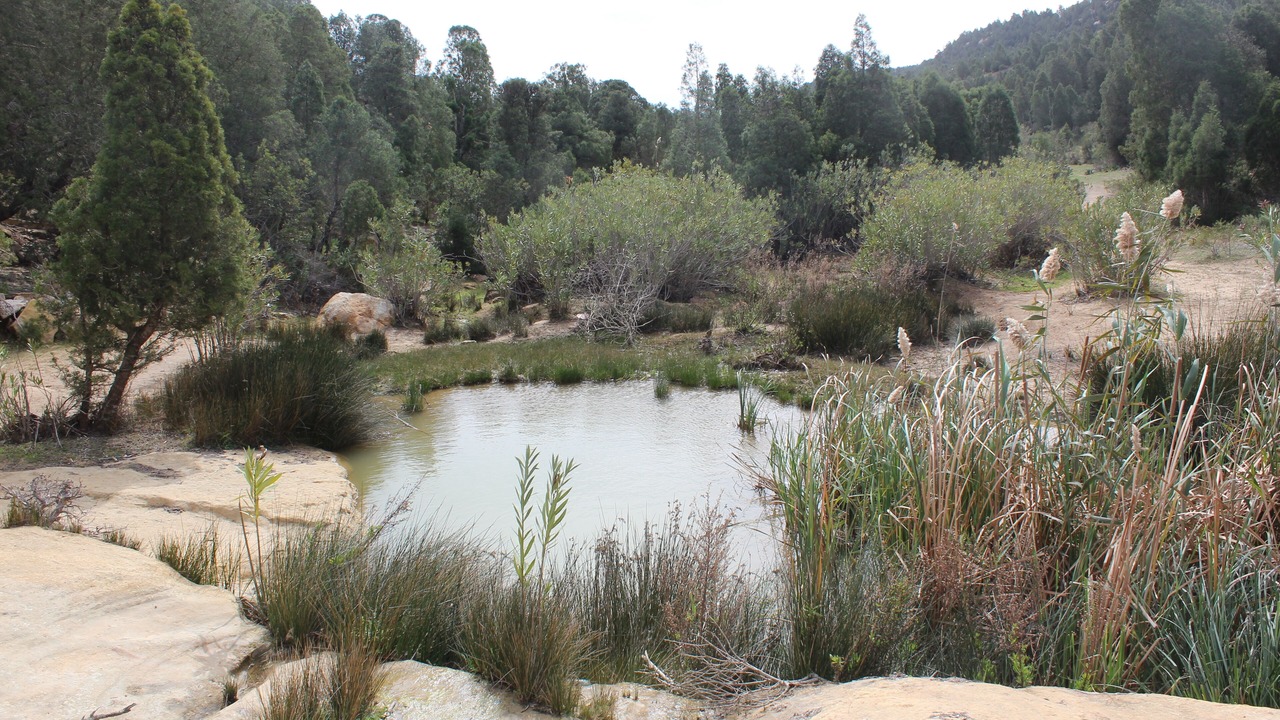 Photo of Outdoor in Hammam Bent Djedidi