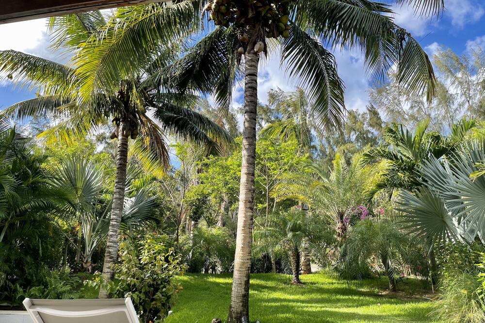 Photo of Outdoor in Mont Choisy