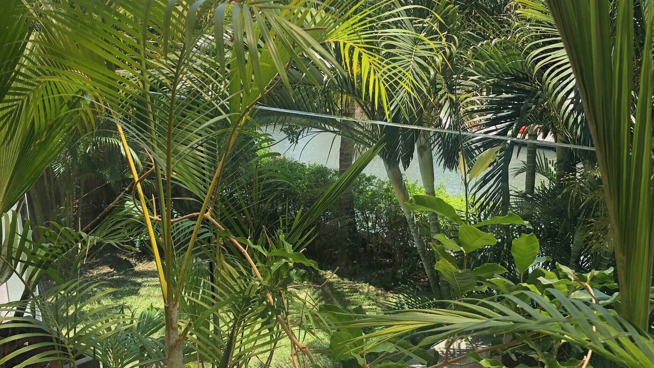 Photo of Patio Balcony in Grande Riviere Noire