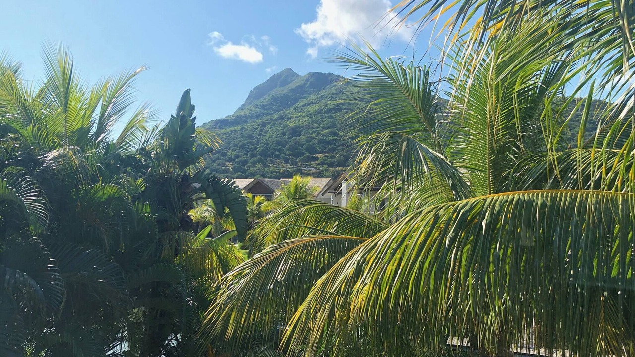 Photo of Patio Balcony in Grande Riviere Noire